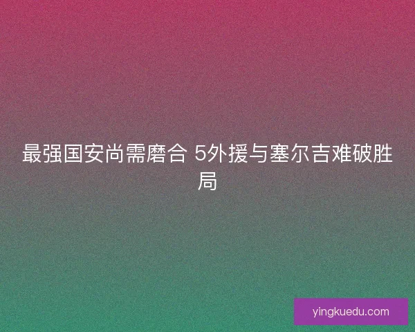 最强国安尚需磨合 5外援与塞尔吉难破胜局 最强国安尚需磨合 5外援与塞尔吉难破胜局