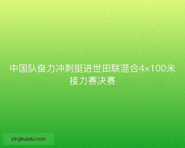 中国队奋力冲刺挺进世田联混合4×100米接力赛决赛 中国队奋力冲刺挺进世田联混合4×100米接力赛决赛